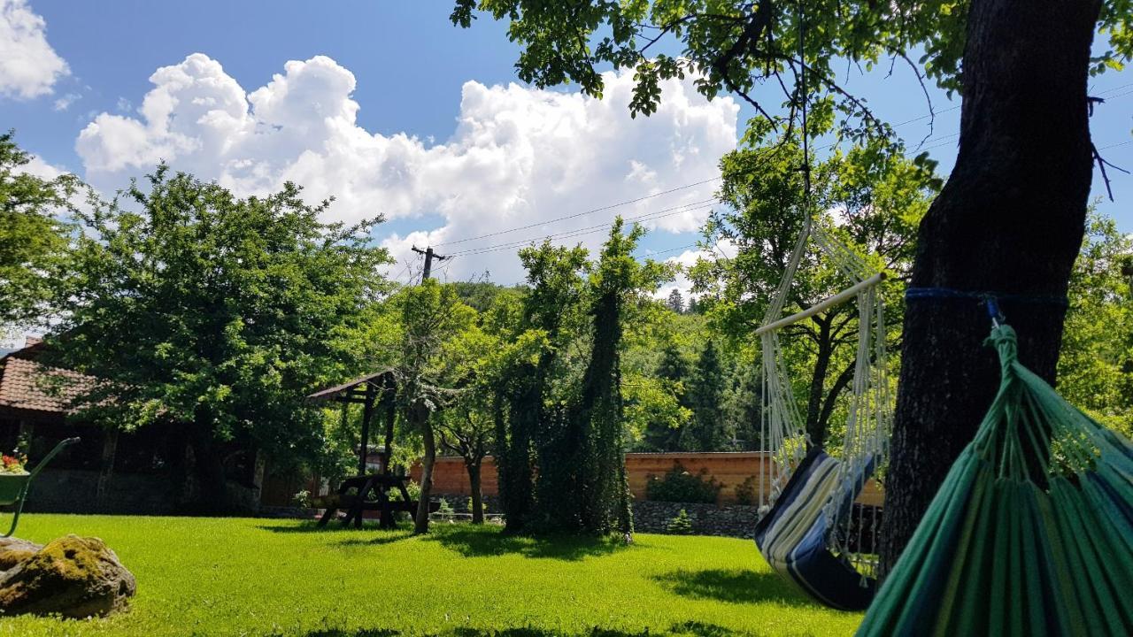 Casa Bunicului Vila Vistisoara Exterior foto