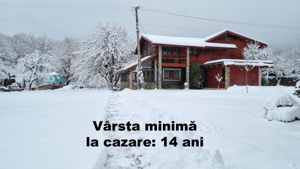 Casa Bunicului Vila Vistisoara Exterior foto